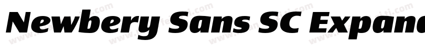 Newbery Sans SC Expanded ExtraBold字体转换